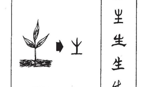 红糖玫瑰山楂的功效与作用禁忌-红糖玫瑰山楂的功效与作用网 :分享红糖玫瑰山楂的功效与作用及禁忌-红糖玫瑰山楂的功效与作用及禁忌知识